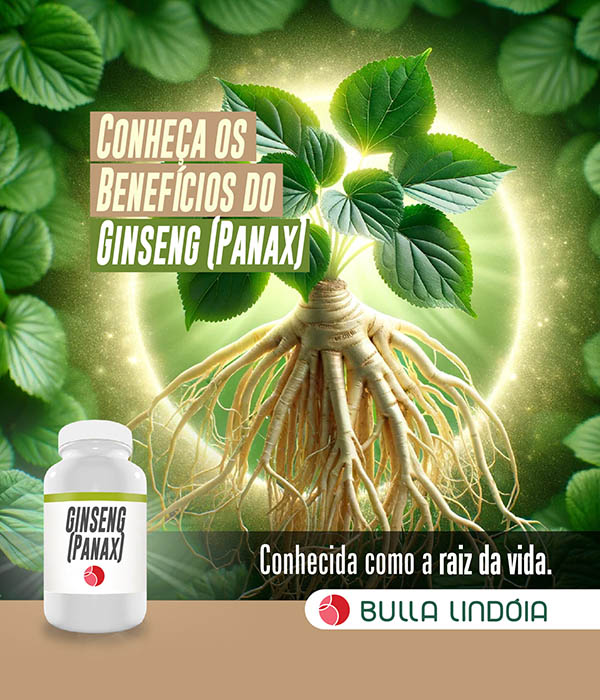 Social media — BUllaSM24 ginseng